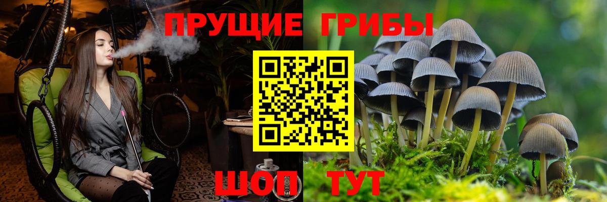 Галлюциногенные грибы мухоморы  Вход с VPN  Лениногорск  Псилоцибиновые грибы ЛСД 