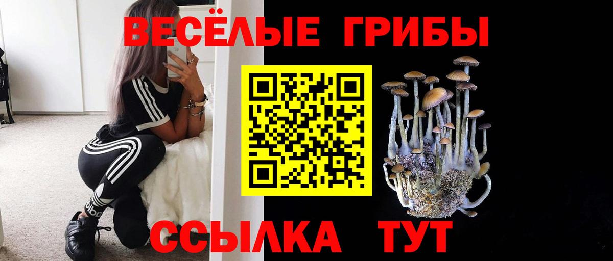 Галлюциногенные грибы мухоморы Лениногорск