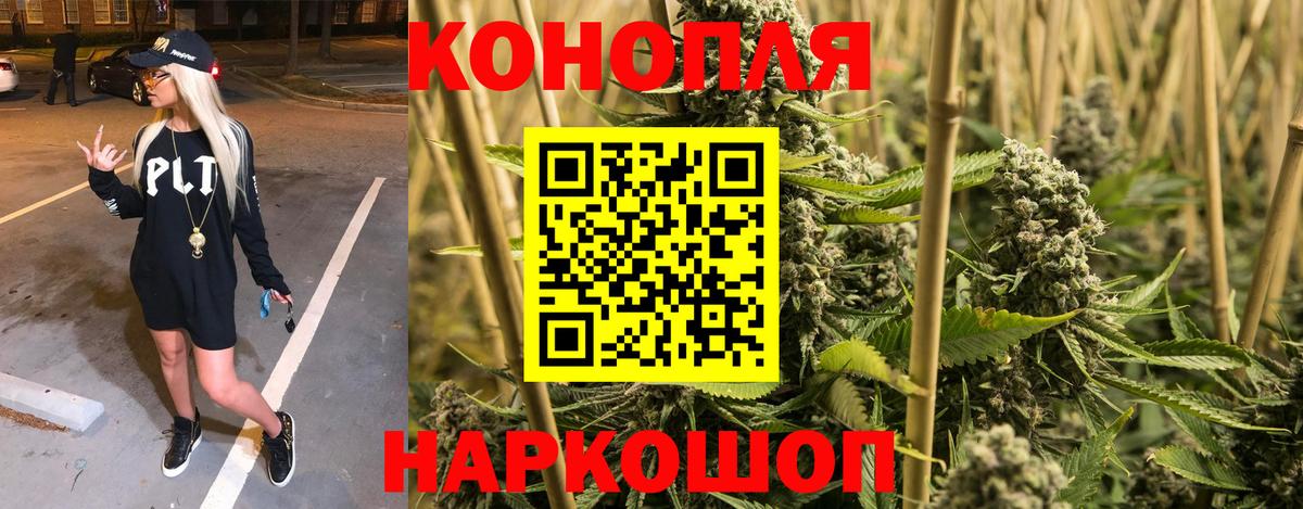 Бошки марихуана семена Лениногорск